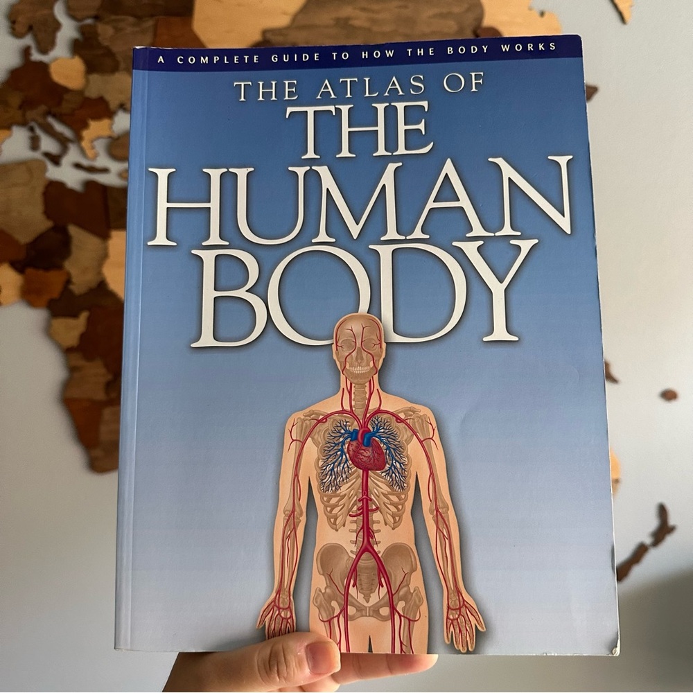 The Atlas of The Human Body Reference Paperback Science Book